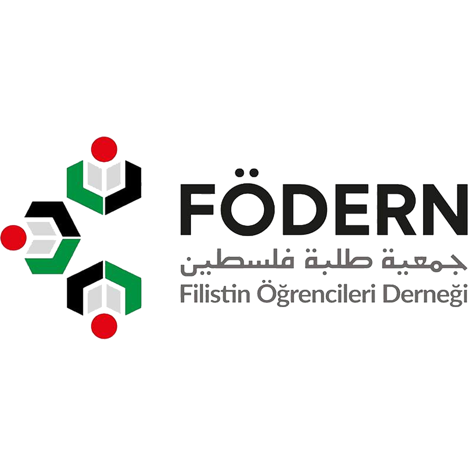 جمعية طلبة فلسطين Fodern